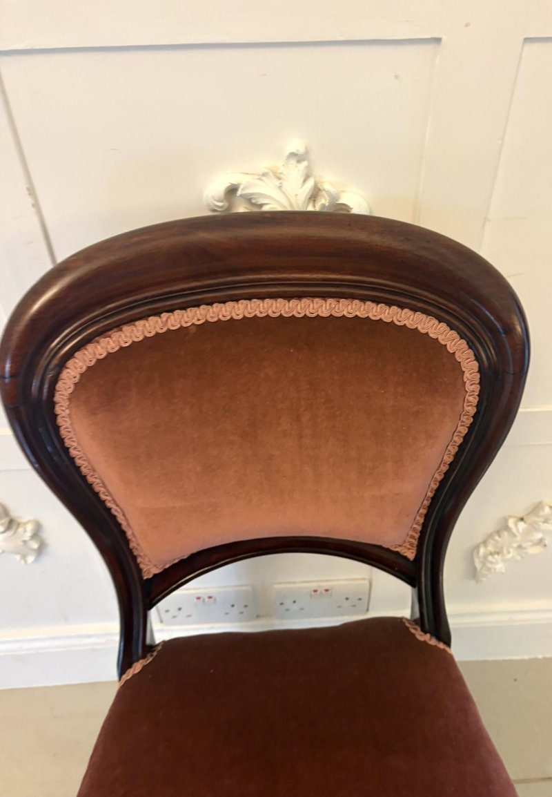 Antique Victorian Set of 6 Mahogany Dining Chairs with Tulip Legs - Image 7